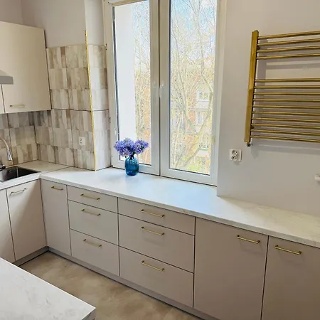 Apartament Centrum Igielnicka *